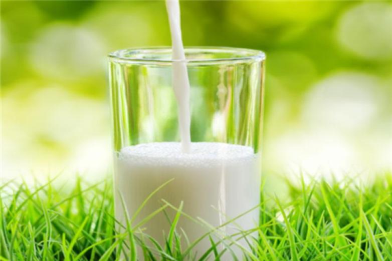 佳宝鲜奶屋加盟