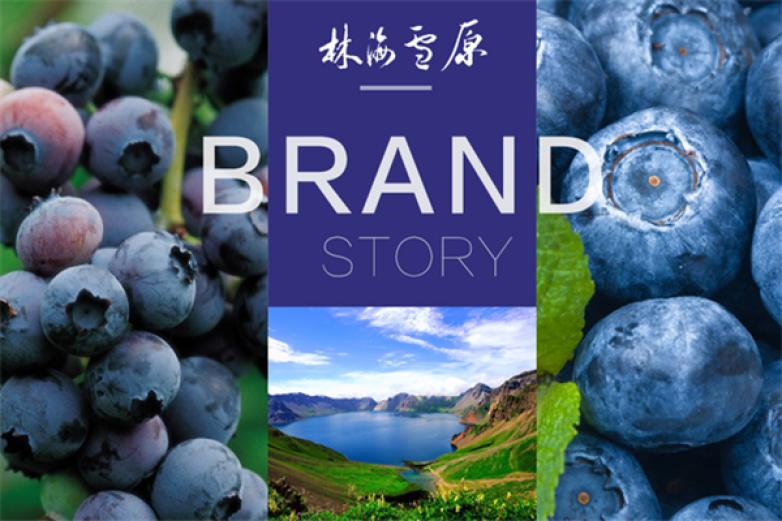 林海雪原蓝莓原汁饮料加盟