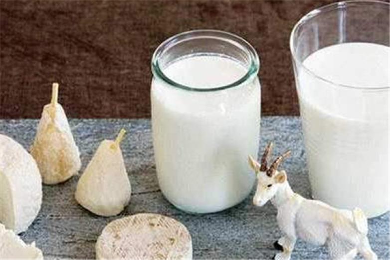 龙腾羊奶饮品加盟