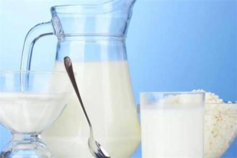 龙腾羊奶饮品加盟