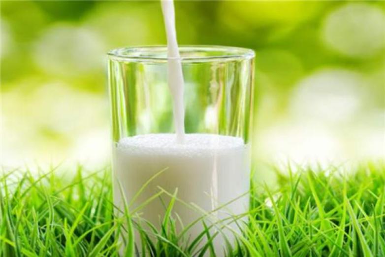 三优鲜奶吧饮品加盟