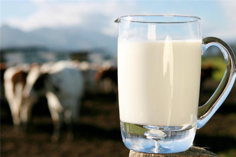 祥菊乳业饮品加盟