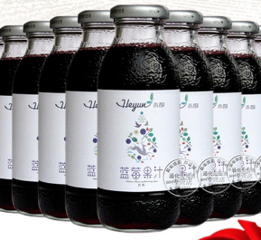 禾韵蓝莓汁饮品