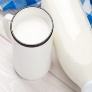 柏拉蒙鲜奶吧饮品