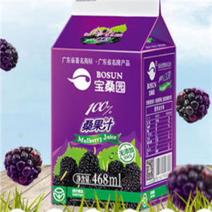 宝桑园桑果汁饮品