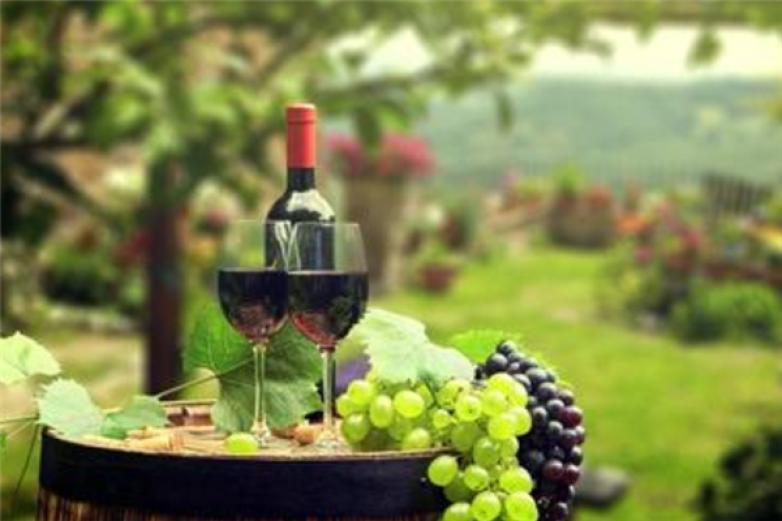 名庄国际葡萄酒加盟