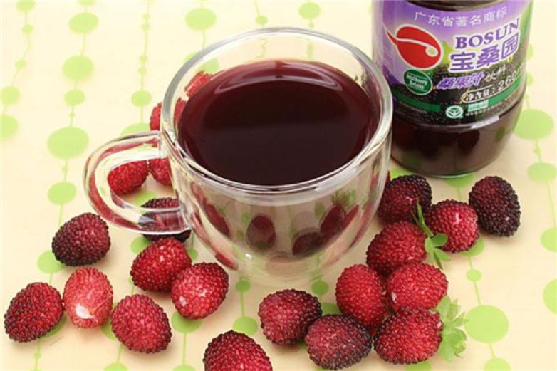 宝桑园桑果汁饮品加盟