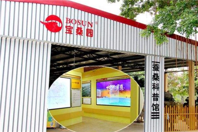 宝桑园桑果汁饮品加盟