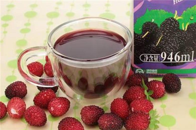 宝桑园桑果汁饮品加盟