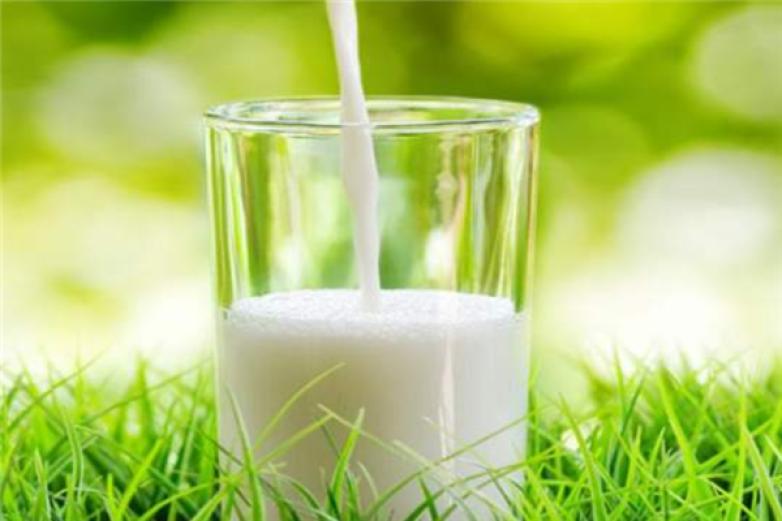 优美真鲜奶吧饮品加盟