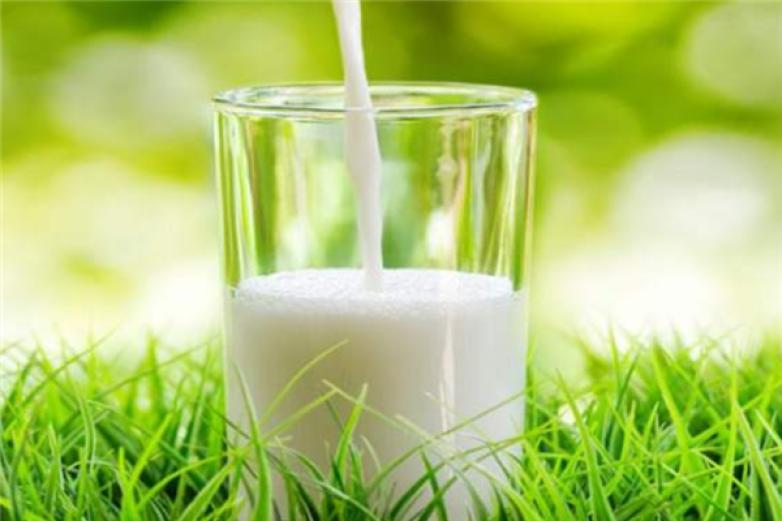 上海鲜奶吧饮品加盟