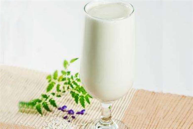 柠檬宝贝饮品加盟