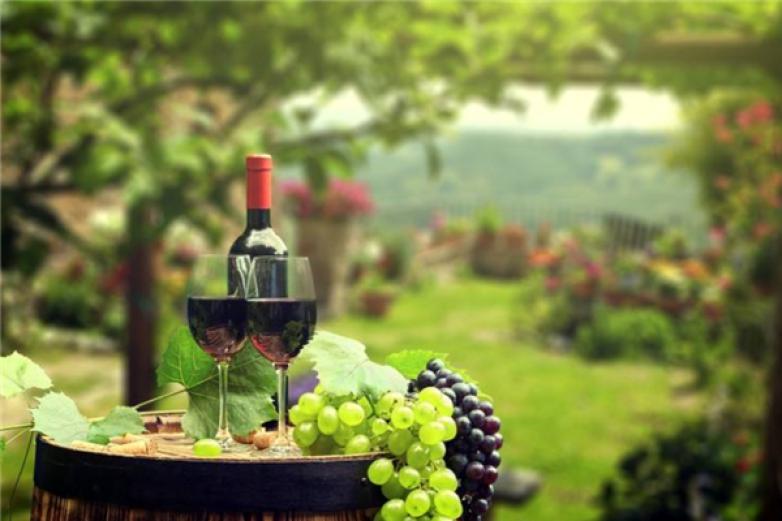 维森特葡萄酒加盟