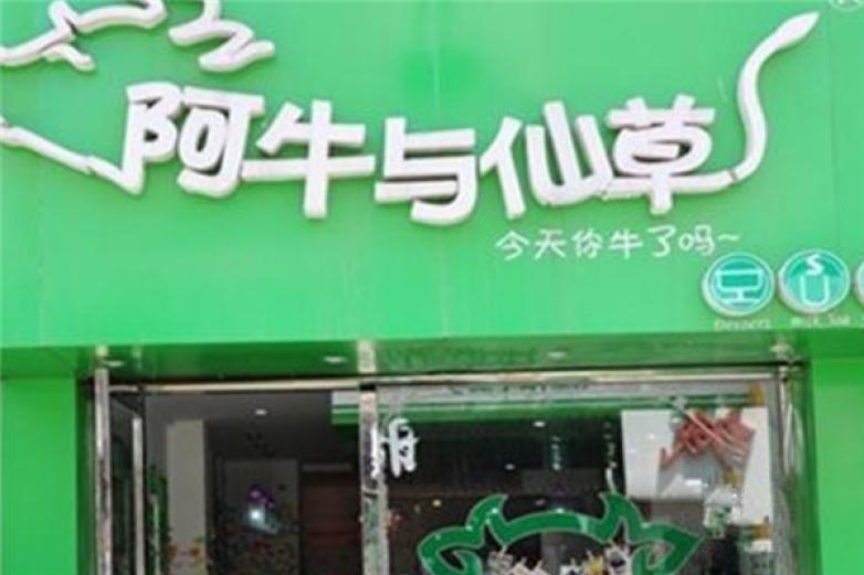 阿牛与仙草饮品加盟