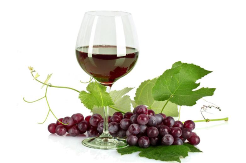 浩源酒庄葡萄酒加盟