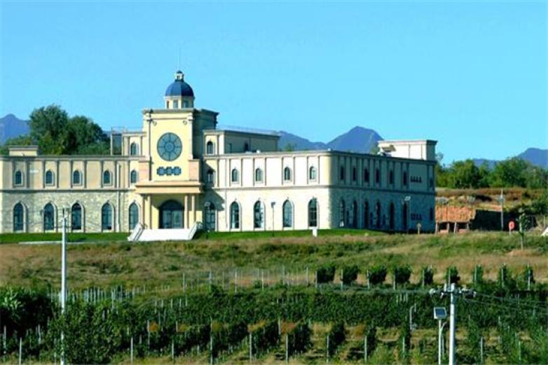 波龙堡酒庄加盟