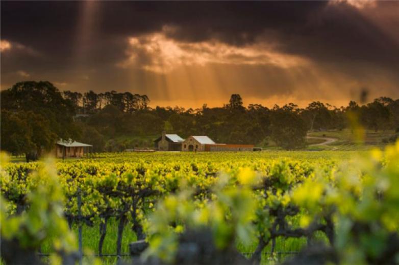 巴罗莎酒庄加盟