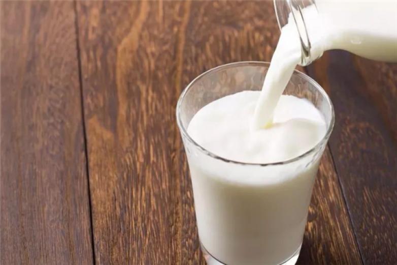 爱宝牛奶伴侣加盟