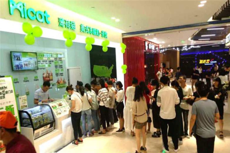 薄荷猫美式冻酸奶加盟