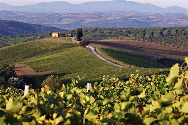 怀来龙腾葡萄酒加盟