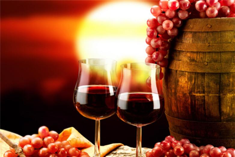 菲尔帝红酒加盟