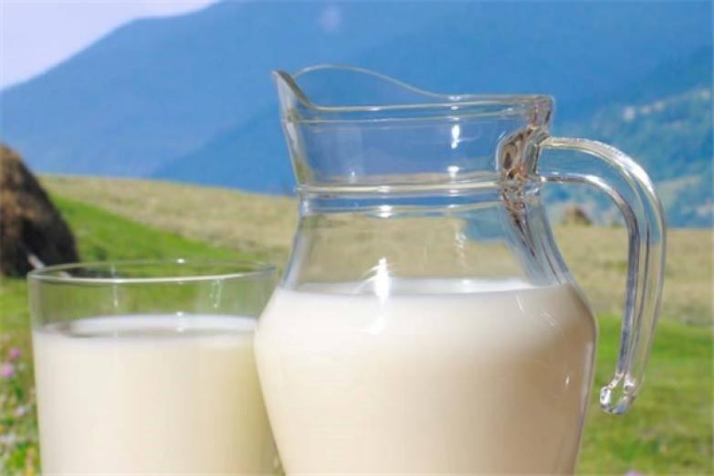 天露鲜奶吧加盟