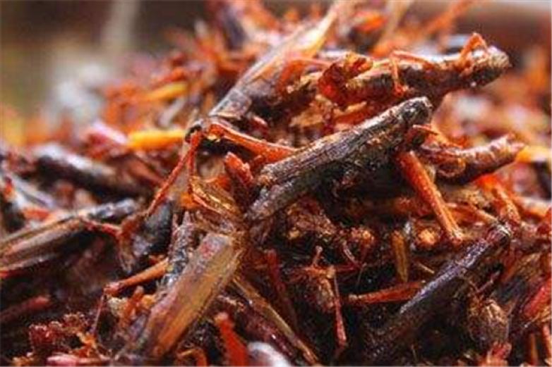 舌尖上的炸货加盟