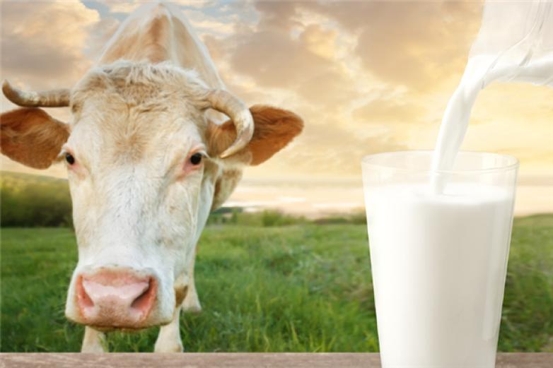 奶白小鲜奶吧加盟