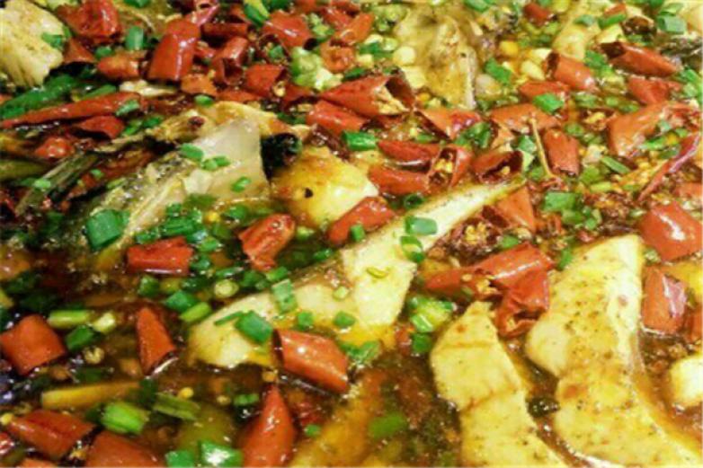 新概念来凤鱼加盟