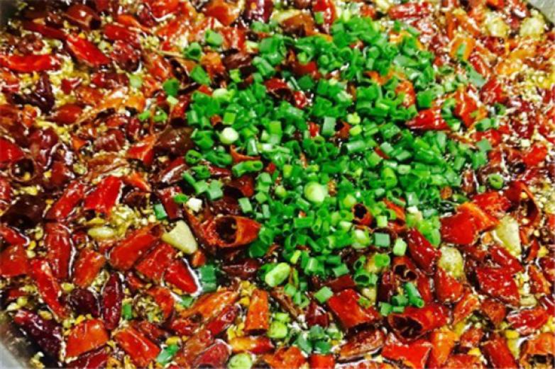 新概念来凤鱼加盟