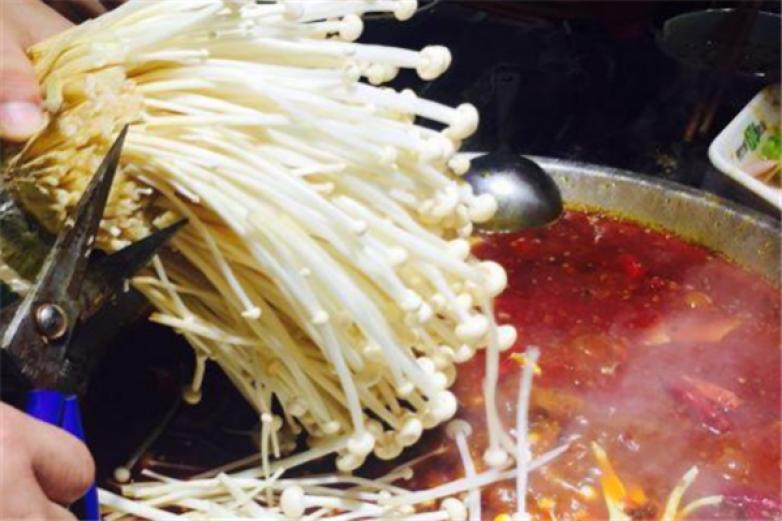 阳光会鲜货火锅加盟