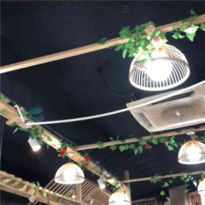 渝芝香美蛙三合鱼