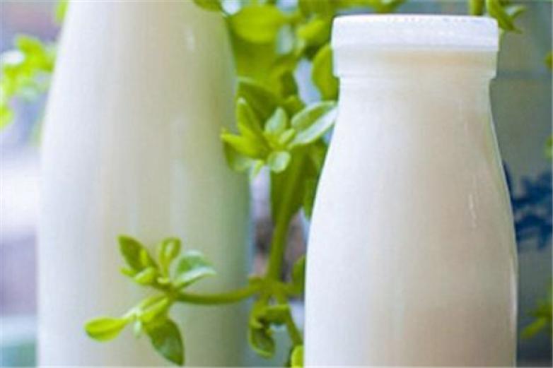 巴乐士鲜奶吧加盟