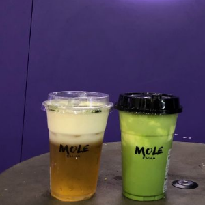 摩乐MOLE