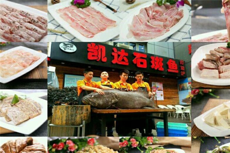 凯达石斑鱼打边炉加盟