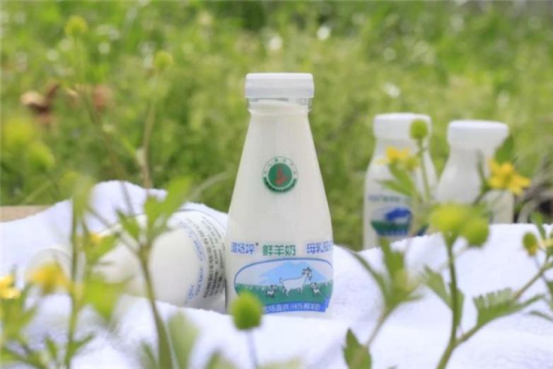 道场坪鲜羊奶加盟