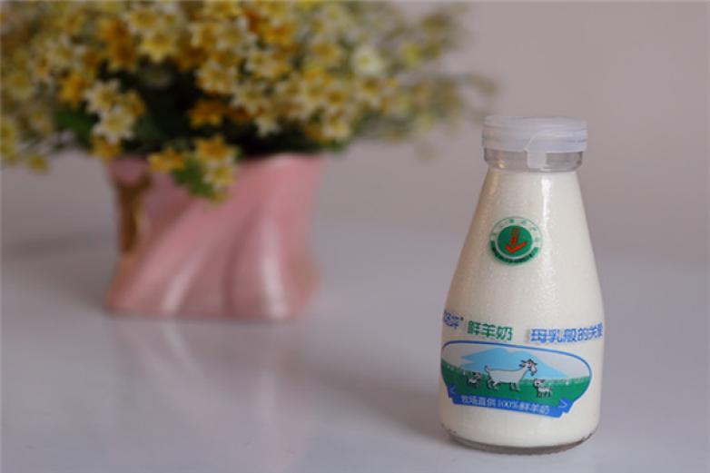 道场坪鲜羊奶加盟