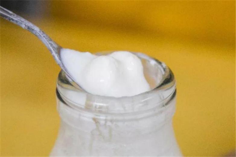 小木人冻酸奶加盟