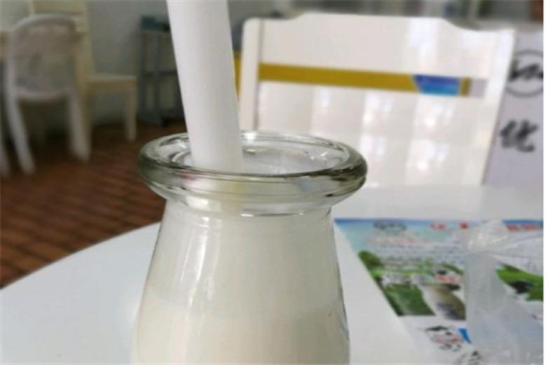 优美鲜奶坊加盟