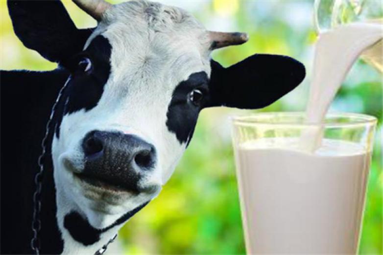 优美鲜奶坊加盟