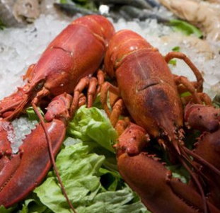 澳吉鲁牛排海鲜自助