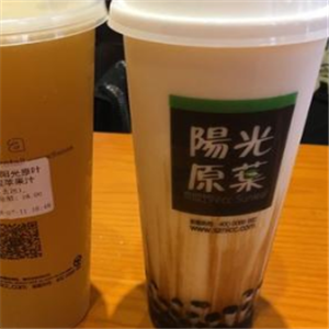 耐思阳光原叶奶茶