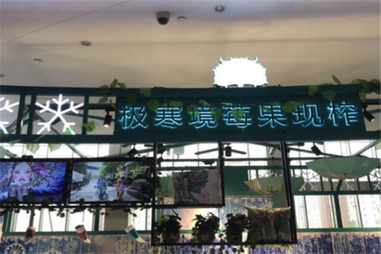 莓兽极寒境莓果现榨加盟