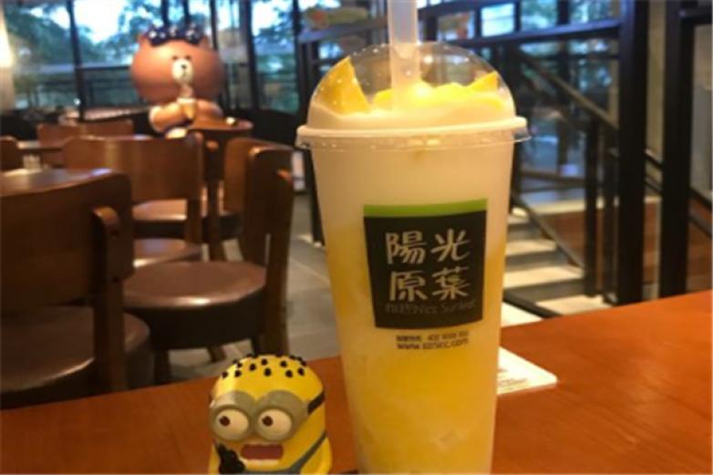 耐思阳光原叶奶茶加盟