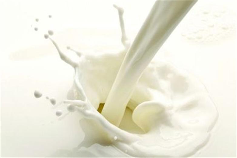 尚品鲜奶吧加盟