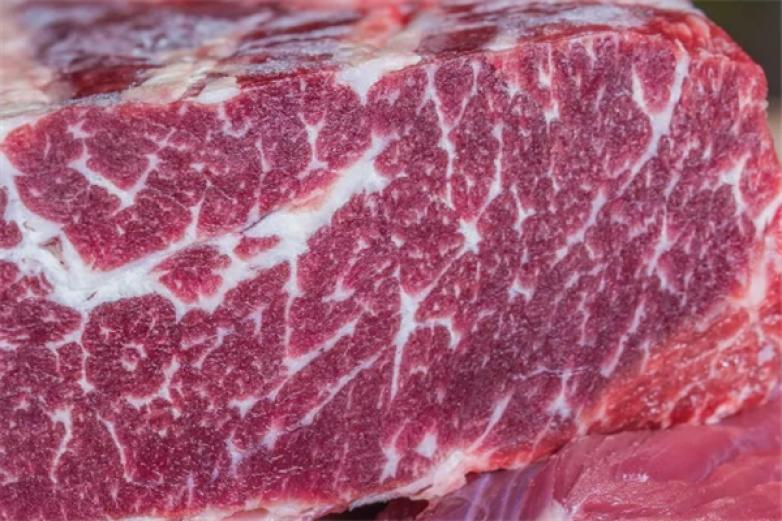 有家牛肉店加盟