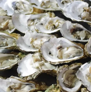 北部湾海鲜烧烤