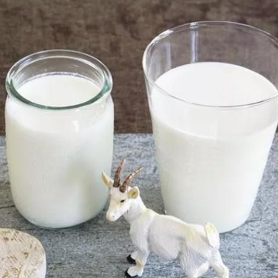 乐翻客鲜奶吧加盟