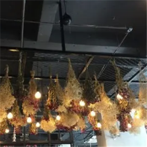 ins森林童话餐厅