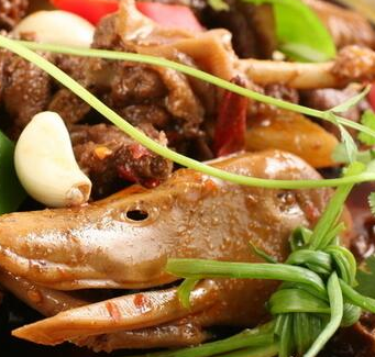 鸿羽鸭十代疯狂鸭火锅